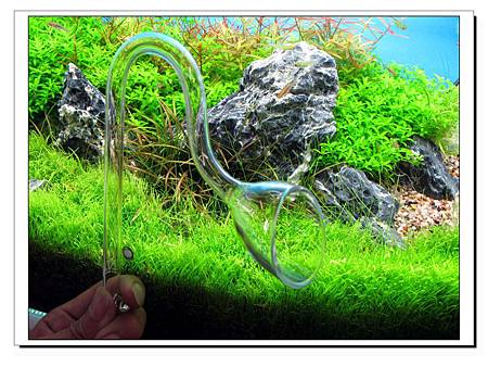 小小水草造景缸 給自已最佳進步獎 厚臉皮xd Ada Mini P1杯型出水口 Ada S號尖頭水草夾 入手 我的小小水草造景缸 痞客邦