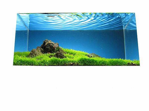 Ada Mini 缸水草造景 挖耳草原4 Jpg 小小水草缸 痞客邦