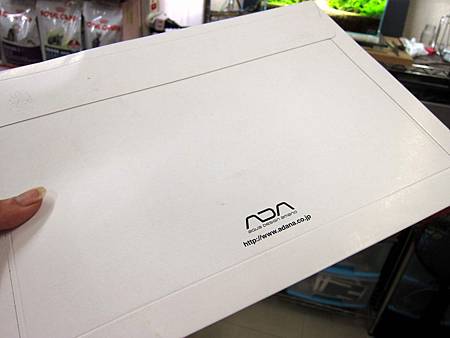 IMG_7101 IMG_7101