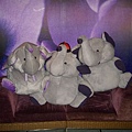 CIMG0115.JPG
