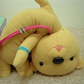 DSCN5892.JPG