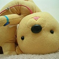 DSCN5896.JPG
