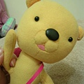 DSCN5927.JPG