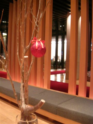 DSCN0021.JPG