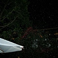 DSCN9994.JPG