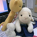 DSCN5711.JPG