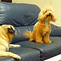 P1050035.JPG