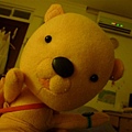 P1050183.JPG