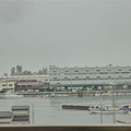 P1050263.JPG
