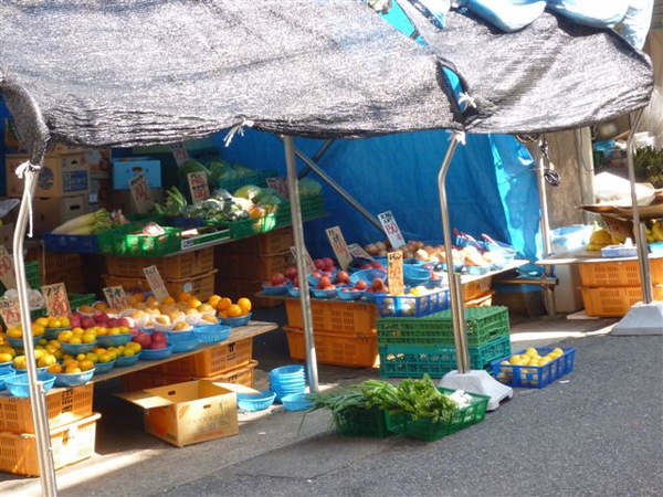 P1050428.JPG