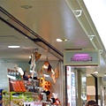 P1050479.JPG