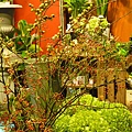 P1050551.JPG