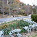 P1060228.JPG