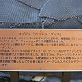 P1050471.JPG