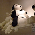 P1050513.JPG