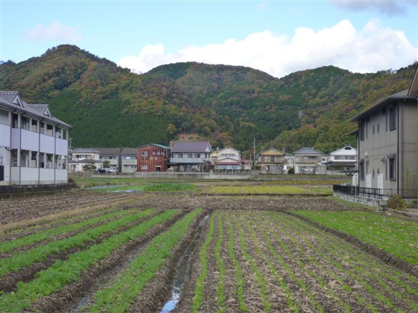 P1060410.JPG