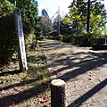 P1060412.JPG
