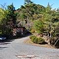 P1060413.JPG