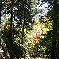P1060417.JPG