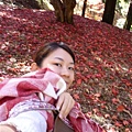 P1060445.JPG