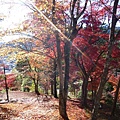 P1060449.JPG