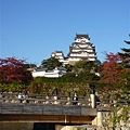 P1060475.JPG