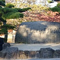 P1060477.JPG