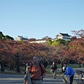 P1060479.JPG