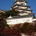 P1060484.JPG