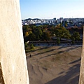 P1060487.JPG