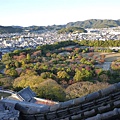 P1060489.JPG