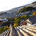 P1060491.JPG