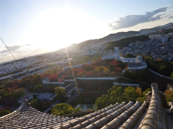 P1060492.JPG