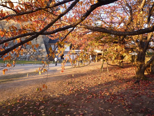 P1060499.JPG