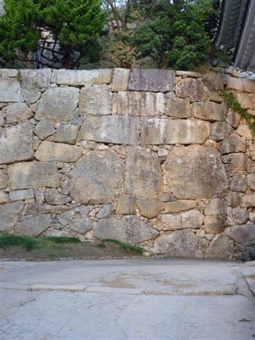 P1060501.JPG