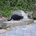 P1060503.JPG