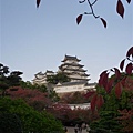 P1060505.JPG