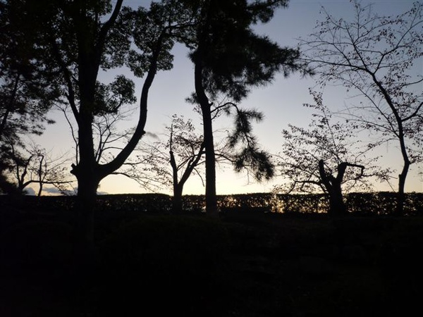 P1060507.JPG