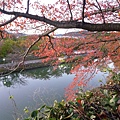 P1060508.JPG