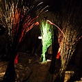 P1060587.JPG