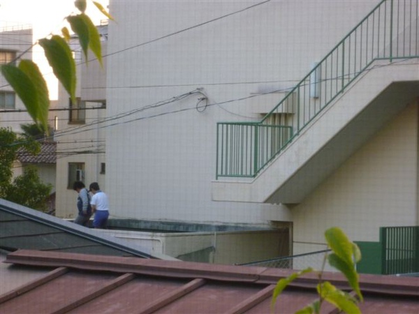 對面小孩很有種從階梯跳下來之後還想跳到哪.JPG