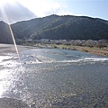 P1070388.JPG