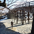 P1070392.JPG