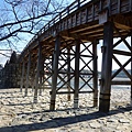 P1070393.JPG