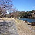 P1070396.JPG
