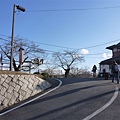 P1070422.JPG