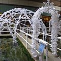 P1070526.JPG