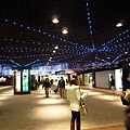 P1070653.JPG