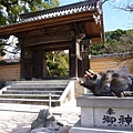 P1070695.JPG
