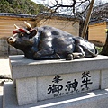 P1070696.JPG